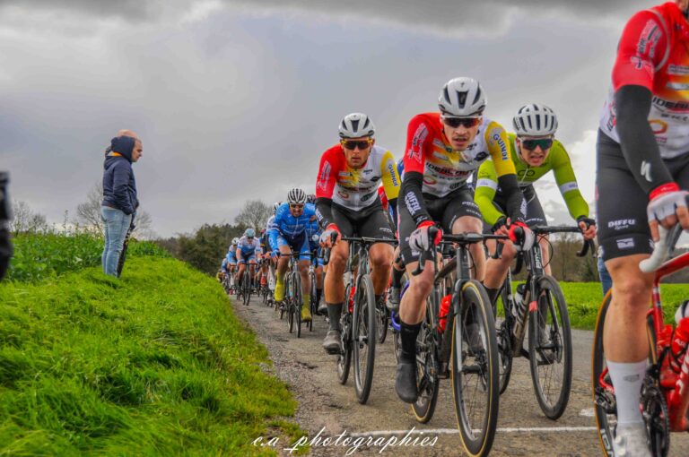 etoile-de-tressignaux-245.jpg
