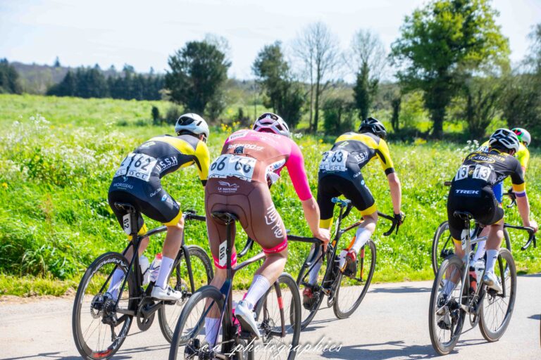 La-route-des-megalithes-100.jpg