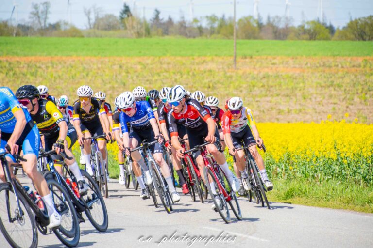 La-route-des-megalithes-45.jpg