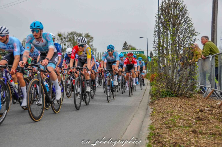 nantes-segre-206.jpg