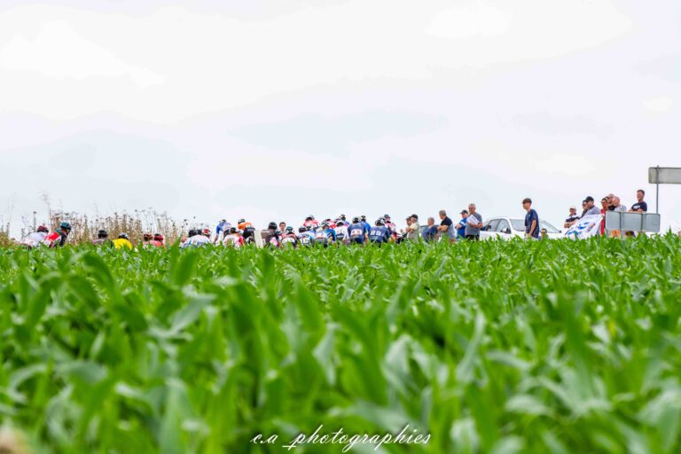 estivale-bretonne-etape-4_-51.jpg
