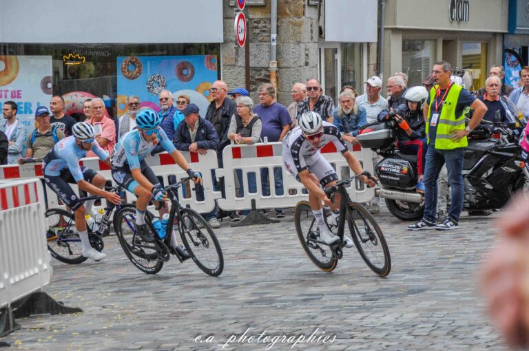 fougeres-100.jpg