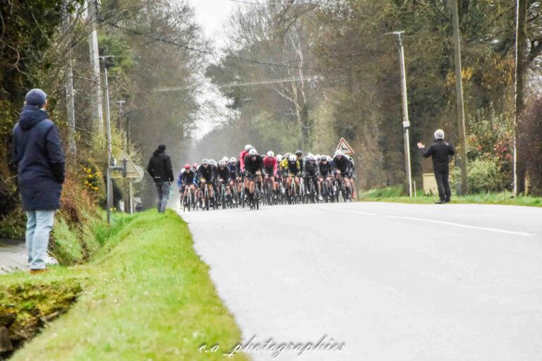 fleche-de-locmine-42.jpg