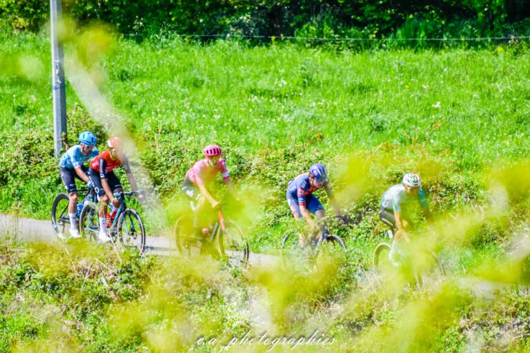 Etape-4-TDB-113-sur-682.jpg
