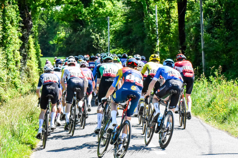 tdb-etape-6-81-sur-432.jpg