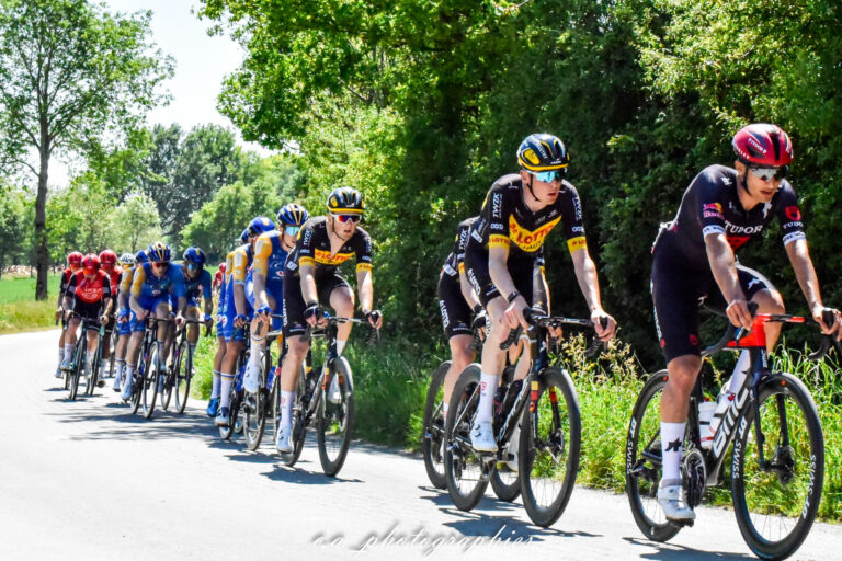 tdb-etape-6-90-sur-432.jpg
