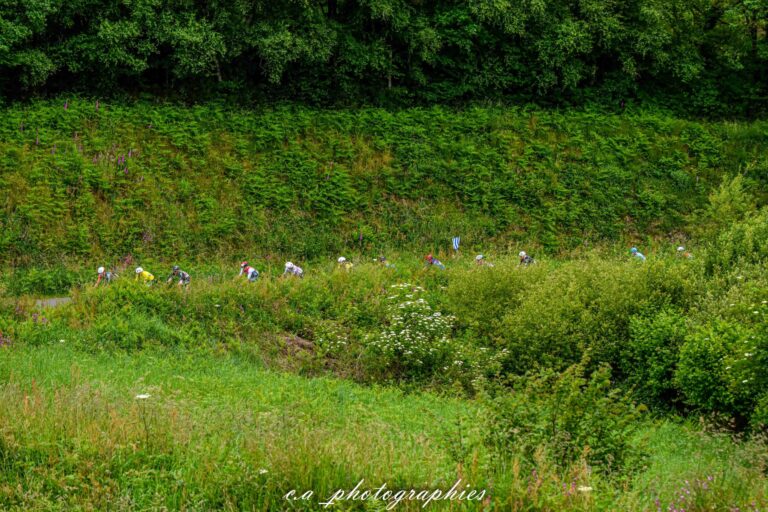 Essor-Breton-etape-3-91-sur-543.jpg