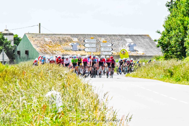 essor-etape-4-111.jpg