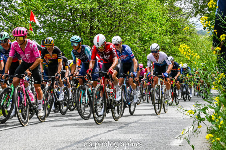 tdb-etape-5_-73-sur-486.jpg