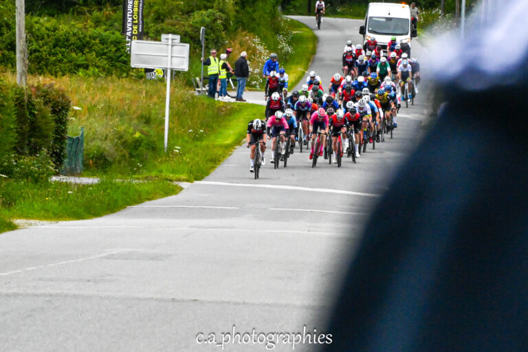 penvins-8-sur-637.jpg